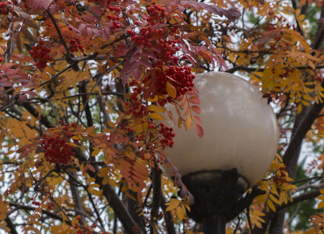 ��������� ����������... ����� ������  �� PhotoGeek.ru #������ ��� ������� #���������