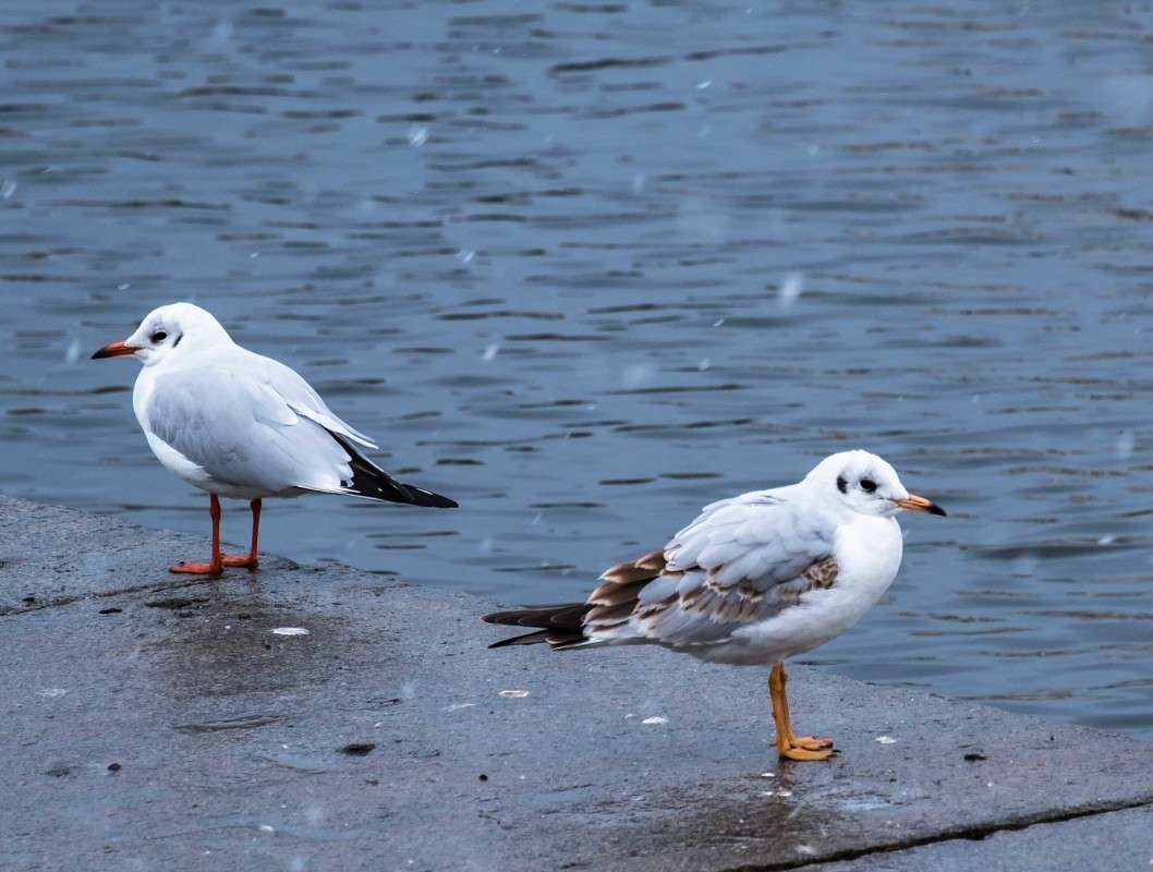 �����... ����� ������  �� PhotoGeek.ru #�������� ��� #�������� ���������� #����� ��� ��� ���������