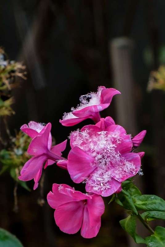 �����������... ����� ������  �� PhotoGeek.ru #������ ��� ������� #����� ��������������