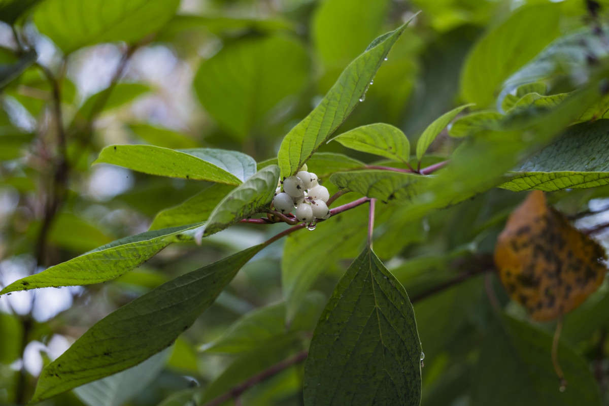 ������� ���� ����� ������  �� PhotoGeek.ru #������ ��� ������� #����� �������������� #���������