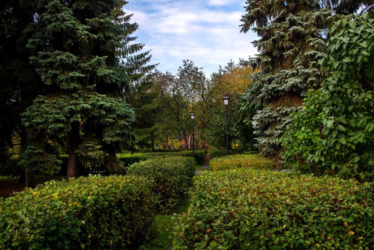 ��������� ������� ����. ����� ������  �� PhotoGeek.ru #������ ��� ������� #��������� #����� ��������