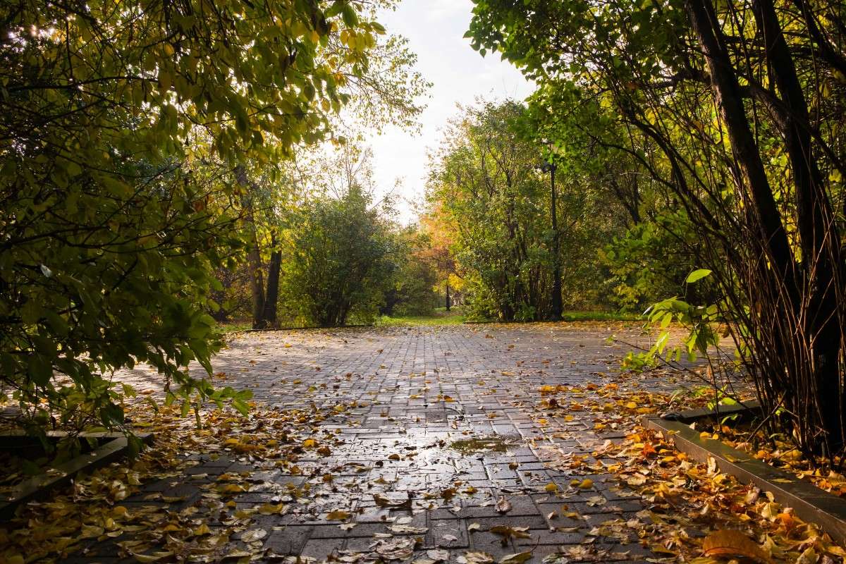 ��������� �����... ����� ������  �� PhotoGeek.ru #������ ��� ������� #��������� #����� ��������