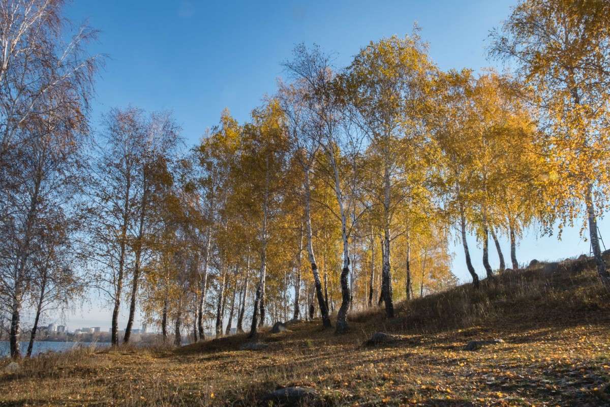 ��������� ���������� ����� ������  �� PhotoGeek.ru #������ ��� ������� #��������� #����� ��������