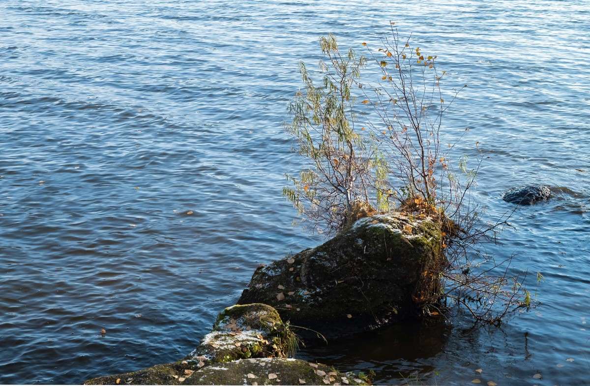 � �� ������ ������ �������... ����� ������  �� PhotoGeek.ru #������ ��� ������� #����� ��������������