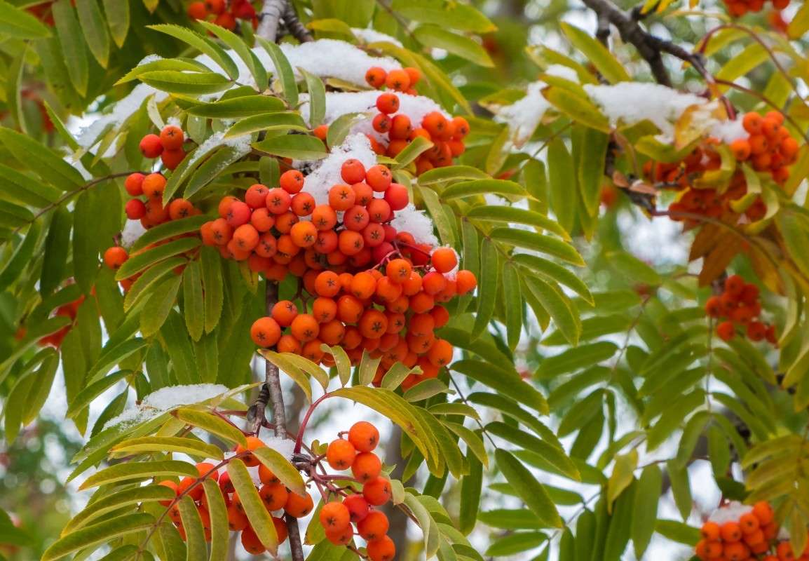 ��������� � �����.... ����� ������  �� PhotoGeek.ru #������ ��� ������� #����� �������������� #���������