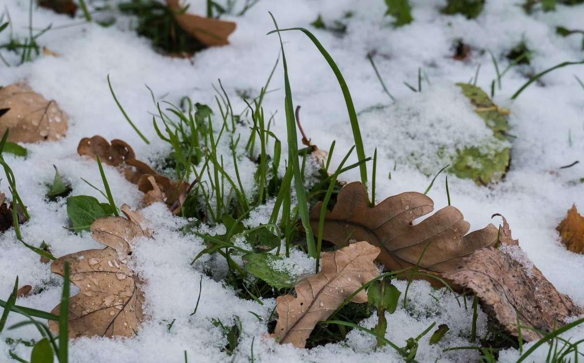 ������� ���� ����� ������  �� PhotoGeek.ru #�������� ����������