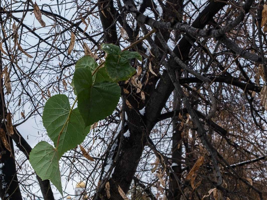 ���� ����� ����� ������  �� PhotoGeek.ru #������ ��� ������� #����� ��������������