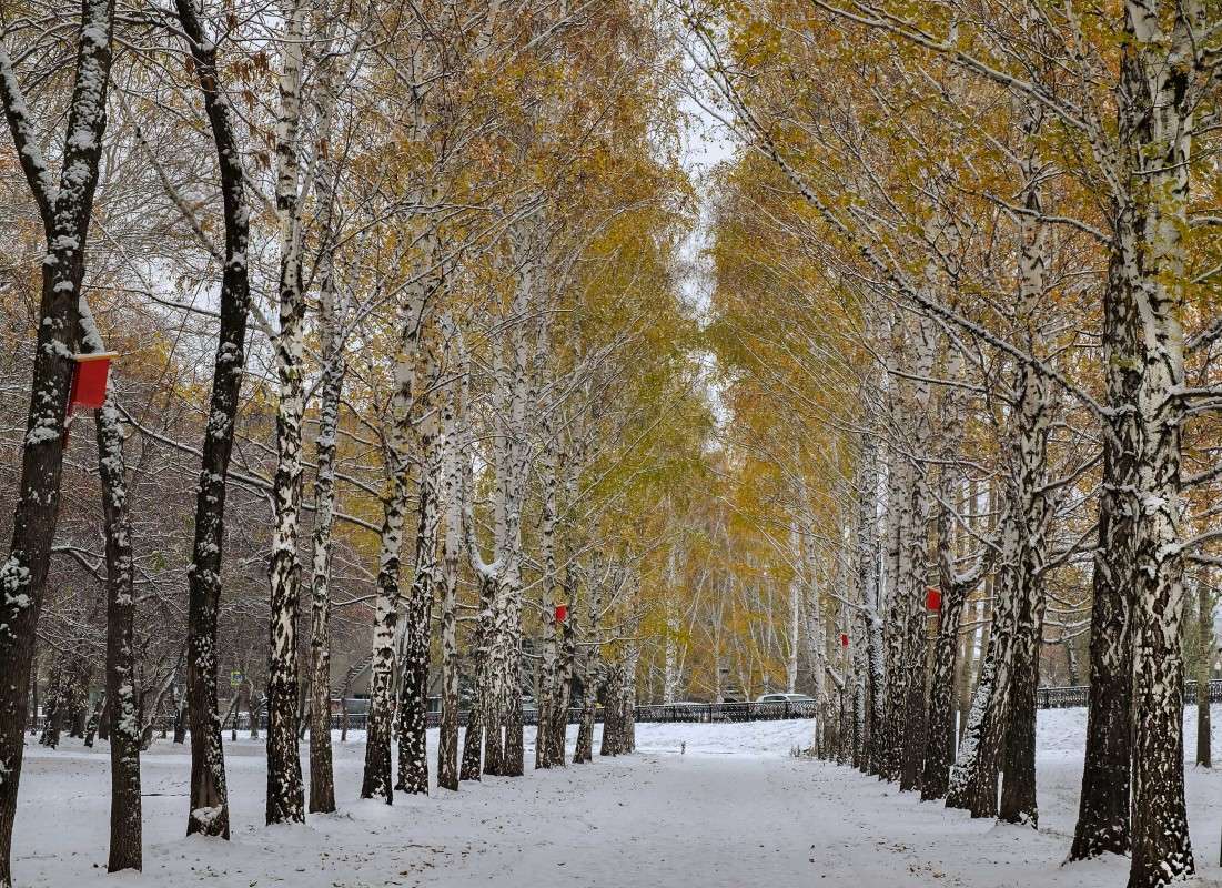 ������ ��������� ������... ����� ������  �� PhotoGeek.ru #������ ��� ������� #����� ��������������