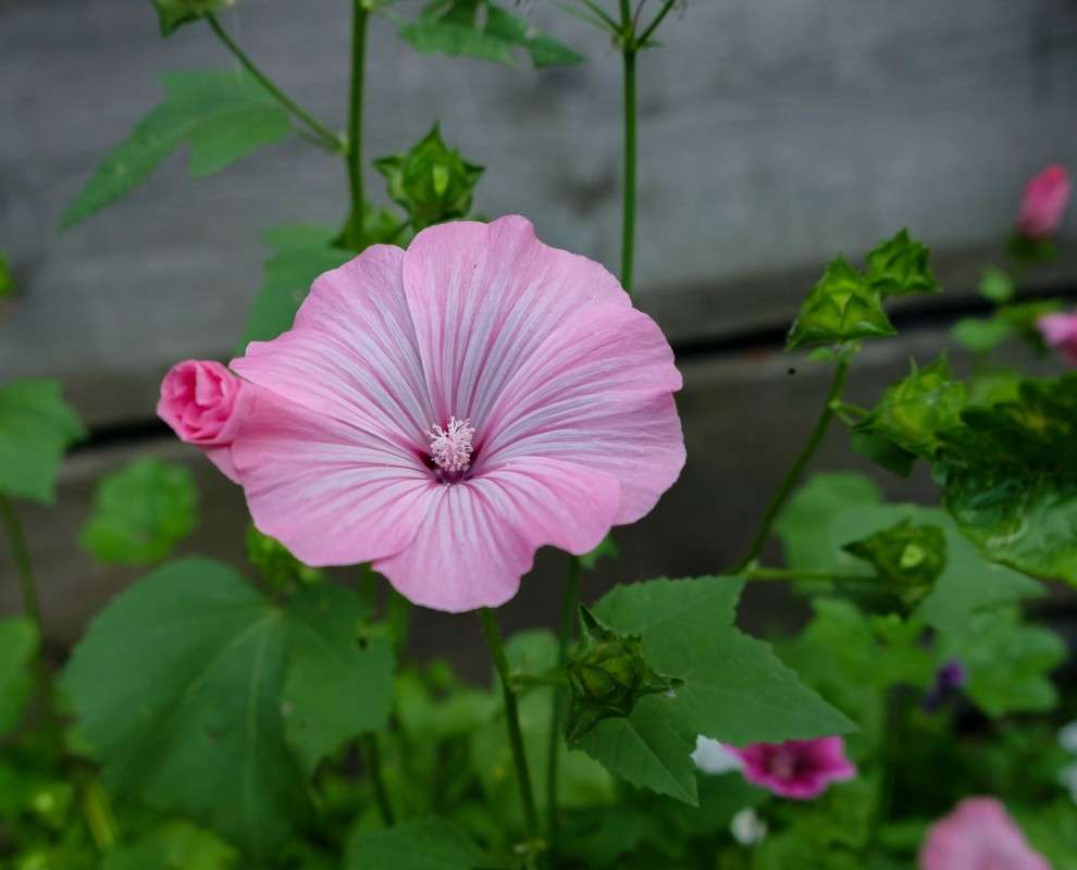 ��������� ����... ����� ������  �� PhotoGeek.ru #������ ��� ������� #����� ��������������