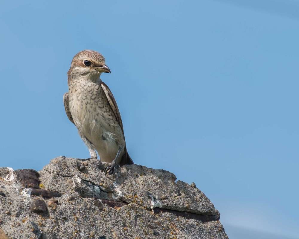 �����-��������� ����� ������  �� PhotoGeek.ru #�������� ��� #����� ��� ��� ���������