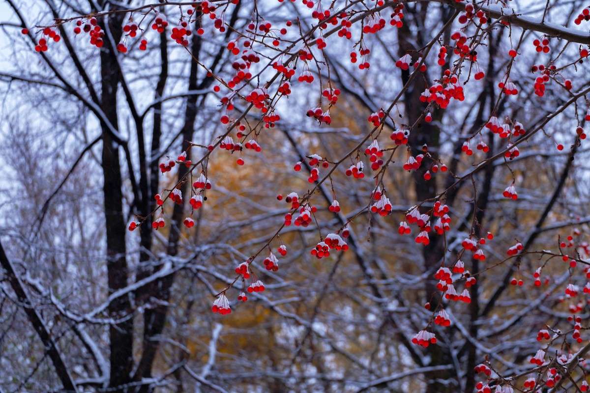 ������� ����� ������ ����� ������  �� PhotoGeek.ru #������ ��� ������� #����� ��������������