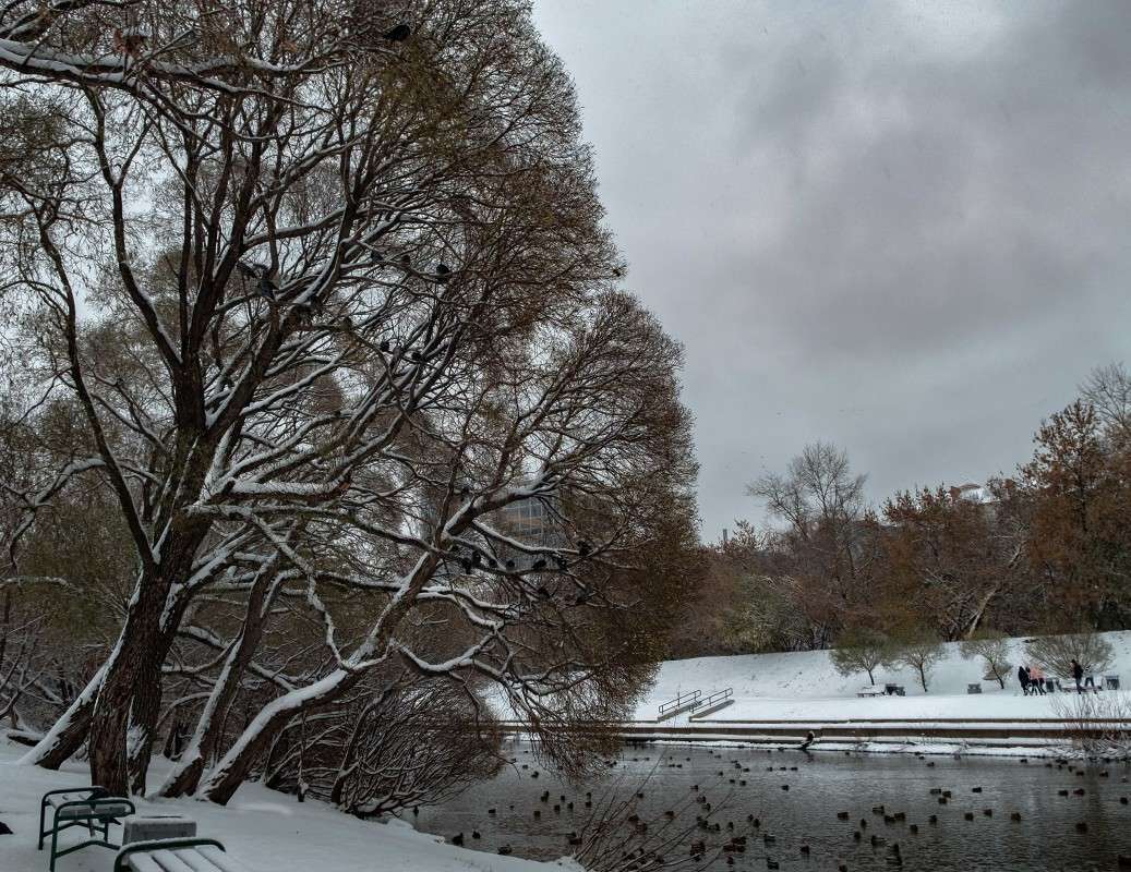 ������ ��������.... ����� ������  �� PhotoGeek.ru #������ ��� ������� #��������� #����� ��������