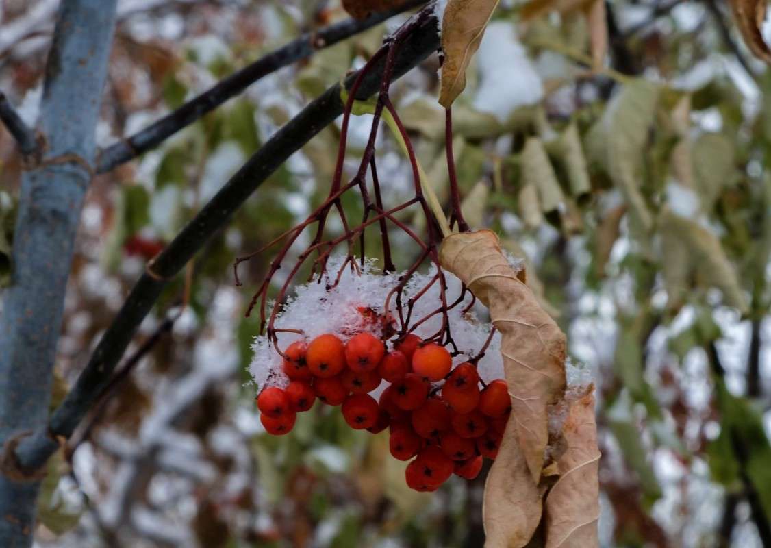 �������� ������ ����� ������  �� PhotoGeek.ru #������ ��� ������� #����� ��������������