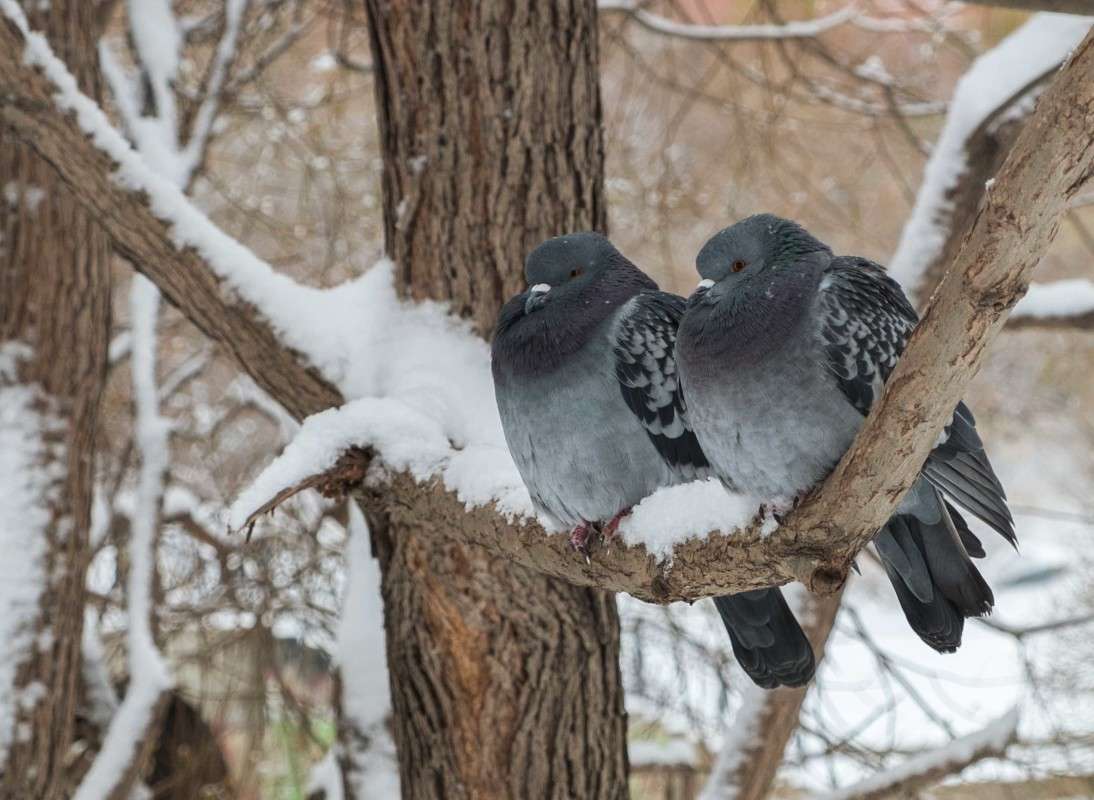 � ����� ��� ������? ����� ������  �� PhotoGeek.ru #�������� ��� #����� ��� ��� ���������