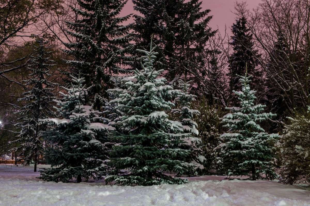 � �������� �����.... ����� ������  �� PhotoGeek.ru #������ ��� ������� #��������� #����� ��������