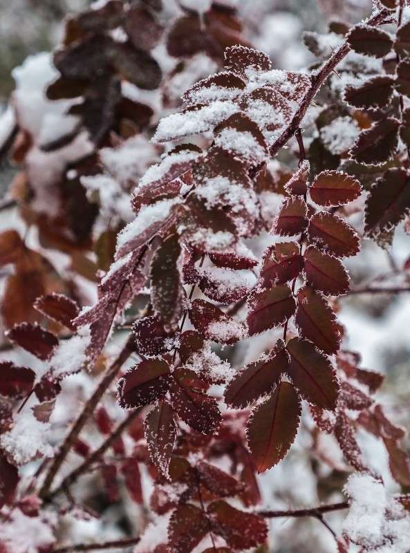 ������ �����... ����� ������  �� PhotoGeek.ru #������ ��� ������� #����� ��������������