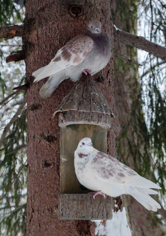 ���������� �������.... ����� ������  �� PhotoGeek.ru #�������� ��� #����� ��� ��� ���������