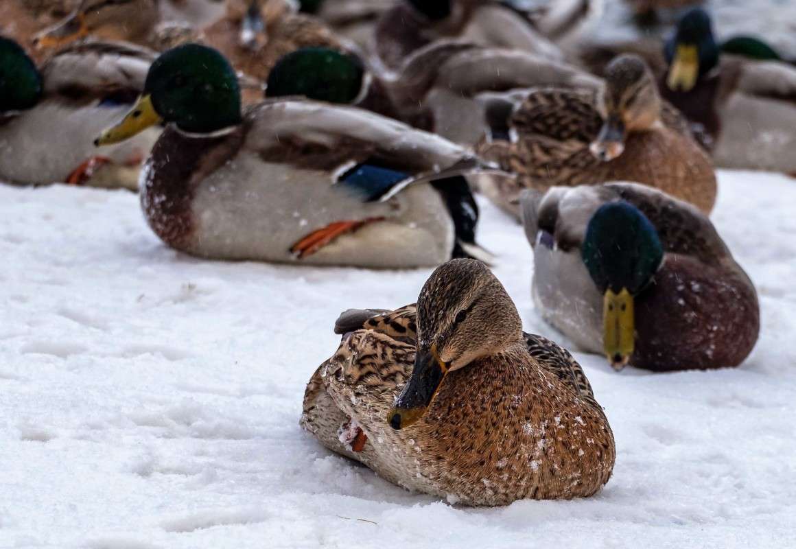 ���� �������..... ����� ������  �� PhotoGeek.ru #�������� ��� #����� ��� ��� ���������