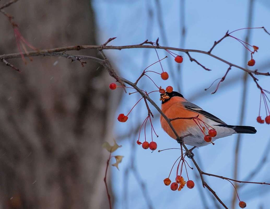 ����� ������ ����.... ����� ������  �� PhotoGeek.ru #�������� ��� #����� ��� ��� ���������