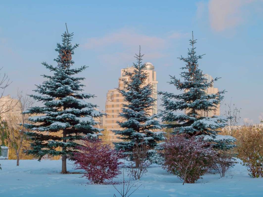 ��� ������ ����� ������  �� PhotoGeek.ru #������ ��� ������� #����� ��������������