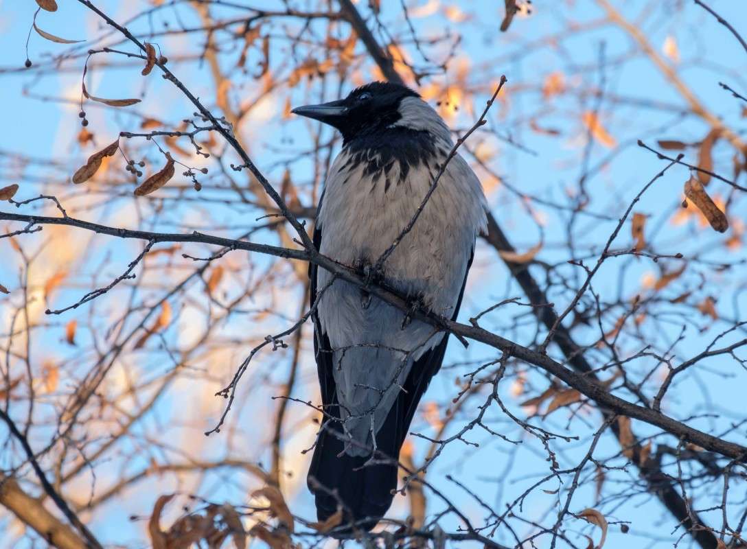 ��� -�� ��� ������... ����� ������  �� PhotoGeek.ru #�������� ��� #����� ��� ��� ���������