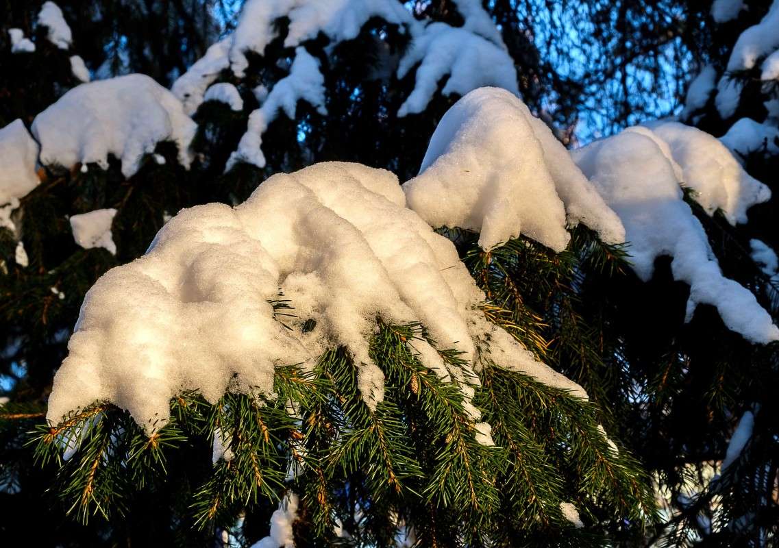 ����� �� ���� ������??? ����� ������  �� PhotoGeek.ru #������ ��� ������� #����� ��������������