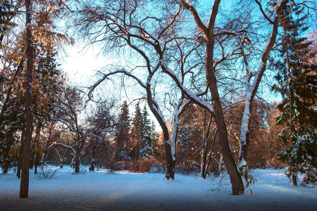 ������ ������ ����� ������  �� PhotoGeek.ru #������ ��� ������� #���������