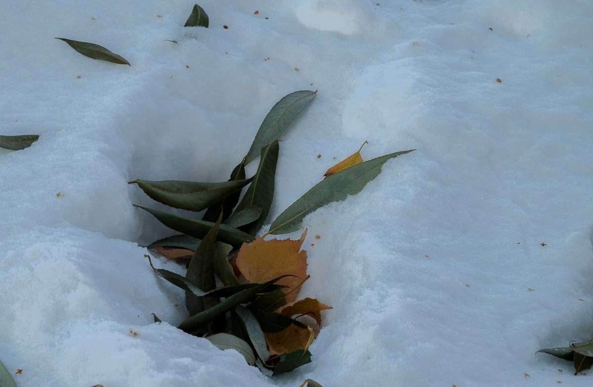 ������ ��������.... ����� ������  �� PhotoGeek.ru #������ ��� ������� #���������