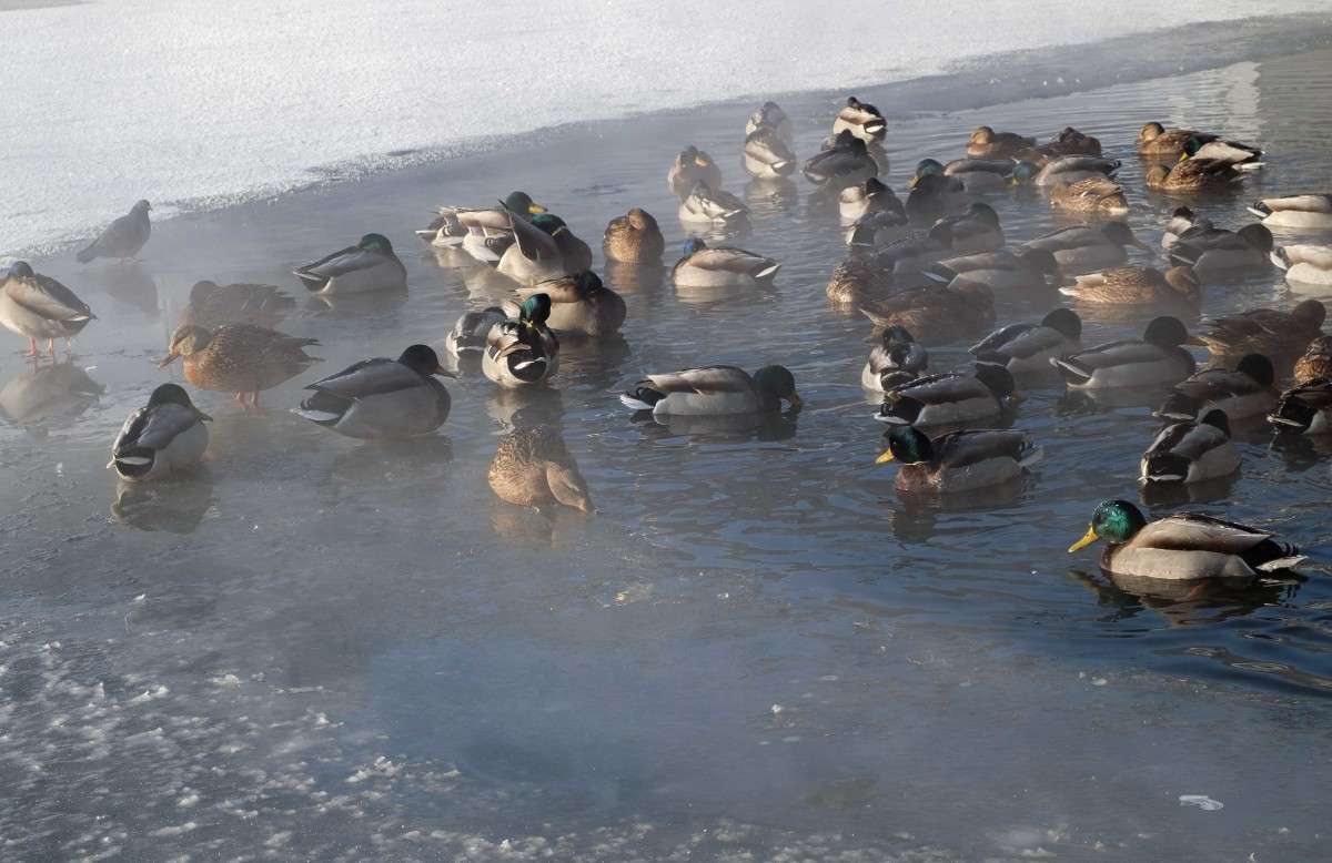 ���� �������������... ����� ������  �� PhotoGeek.ru #����� #�������� ��� #����� ��� ��� ���������