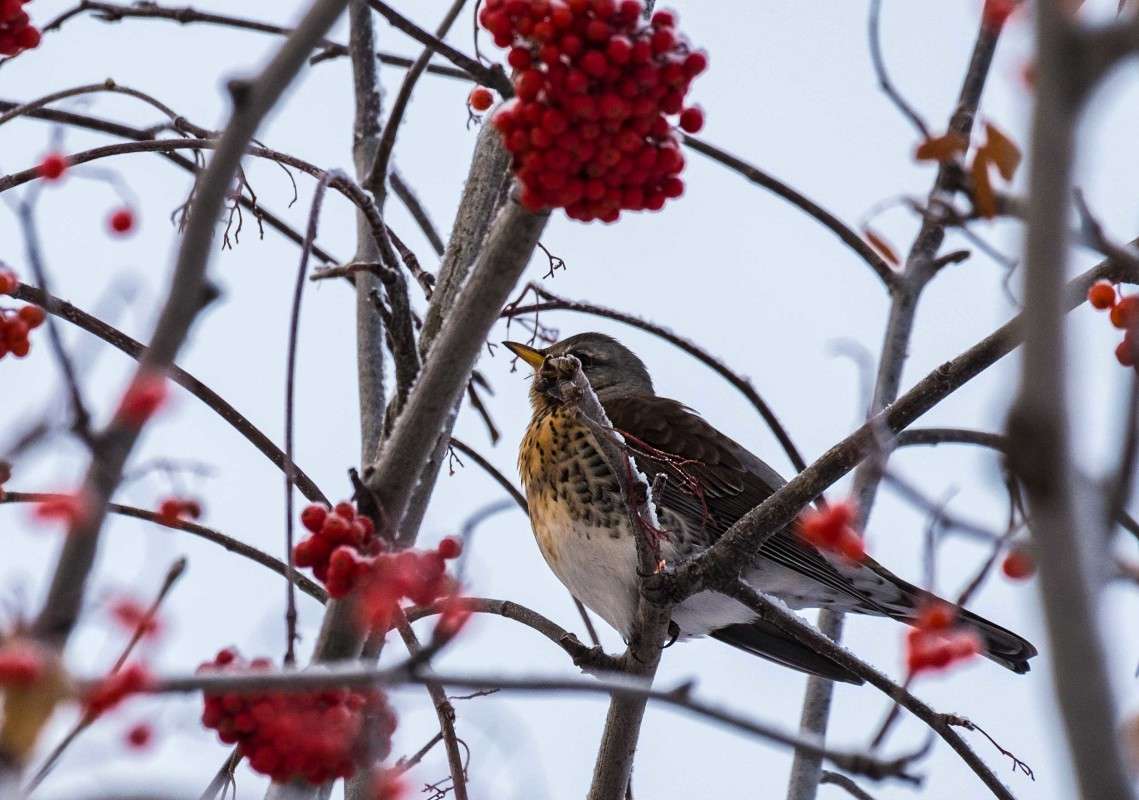 �����- ��������.. ����� ������  �� PhotoGeek.ru #�������� ��� #����� ��� ��� ���������