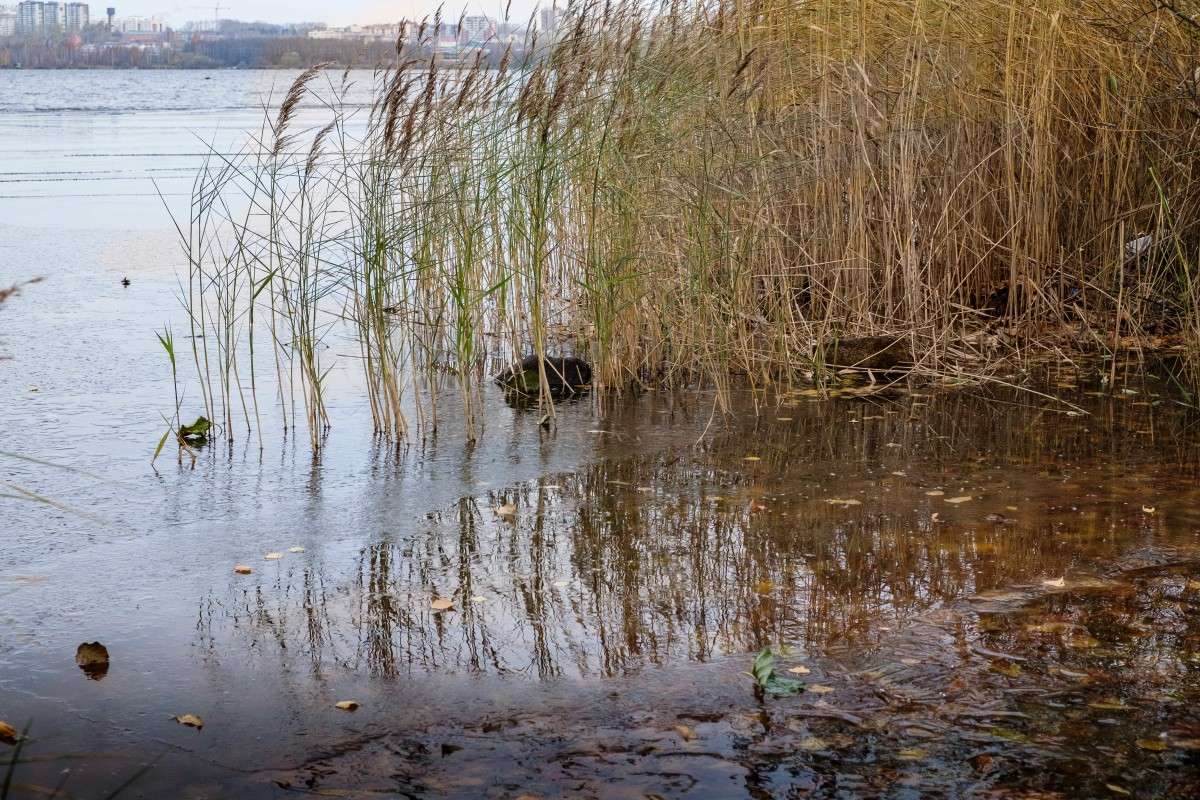 ����� ������.... ����� ������  �� PhotoGeek.ru #������ ��� ������� #����� ��������������