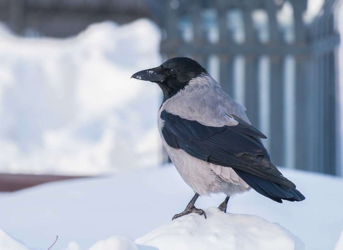 ����� ����.� ����� ����... ����� ������  �� PhotoGeek.ru #�������� ��� #����� ��� ��� ���������