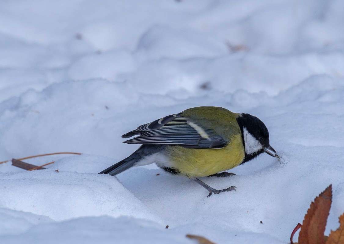 ���-�� ������� ����� ������  �� PhotoGeek.ru #�������� ��� #����� ��� ��� ���������