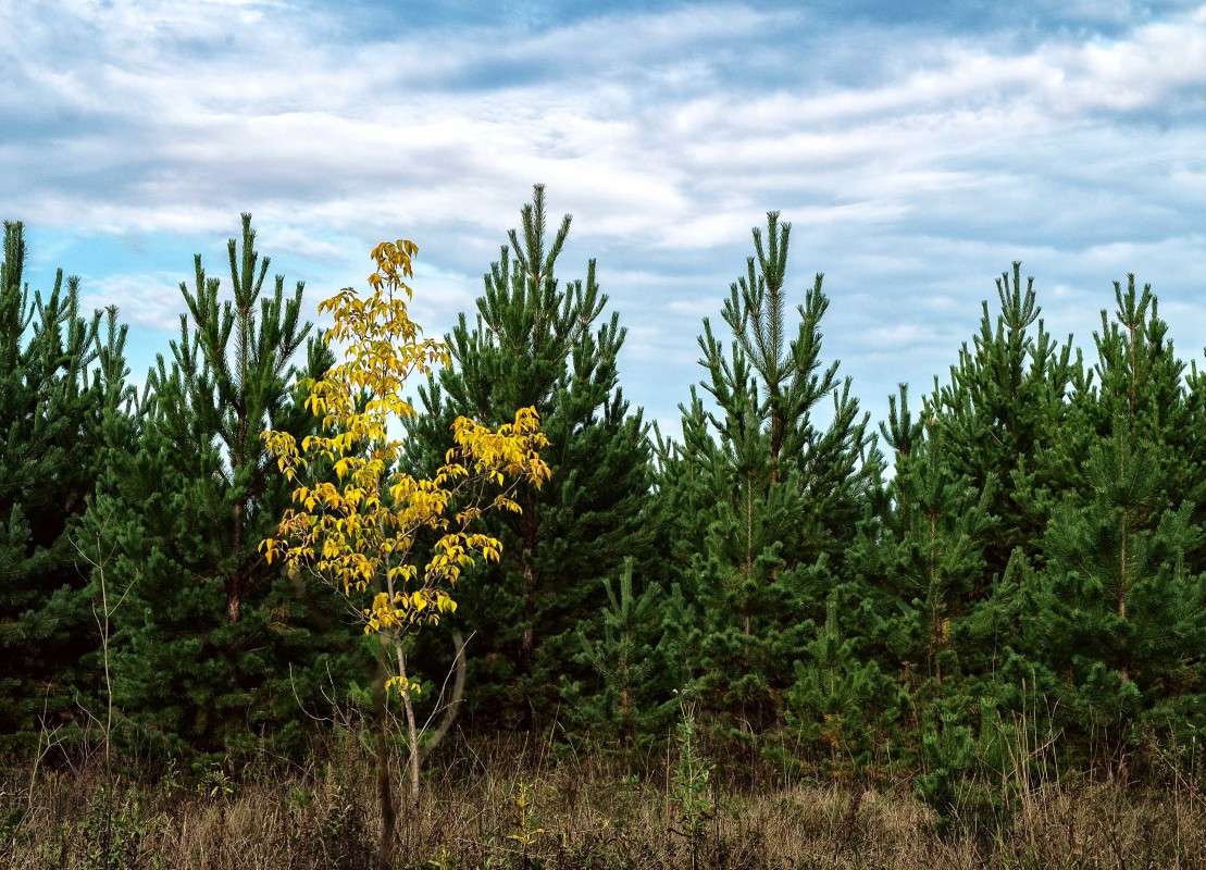 �����������.... ����� ������  �� PhotoGeek.ru #������ ��� ������� #����� ��������������