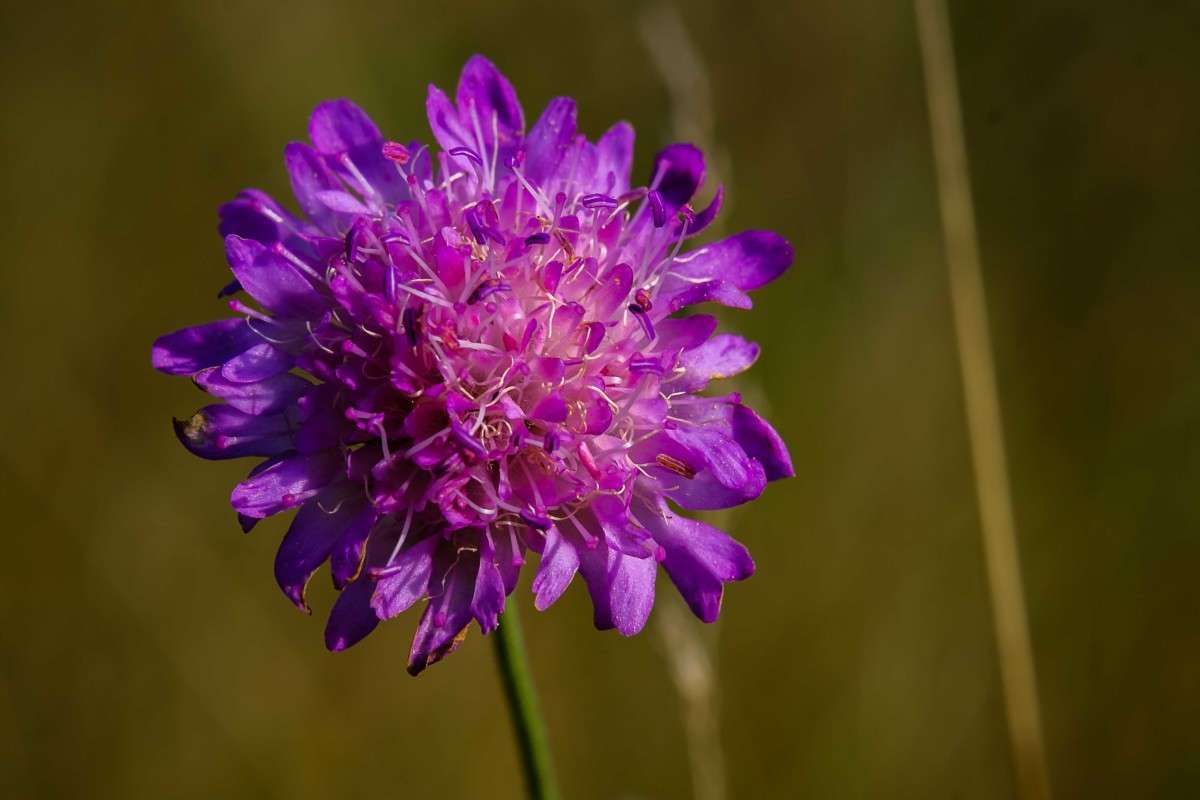 ������ ������... ����� ������  �� PhotoGeek.ru #������ ��� ������� #����� ��������������