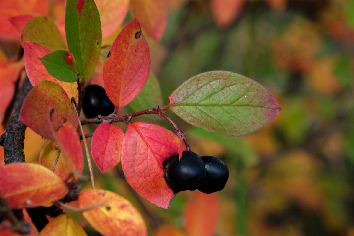 �����������... ����� ������  �� PhotoGeek.ru #������ ��� ������� #����� ��������������