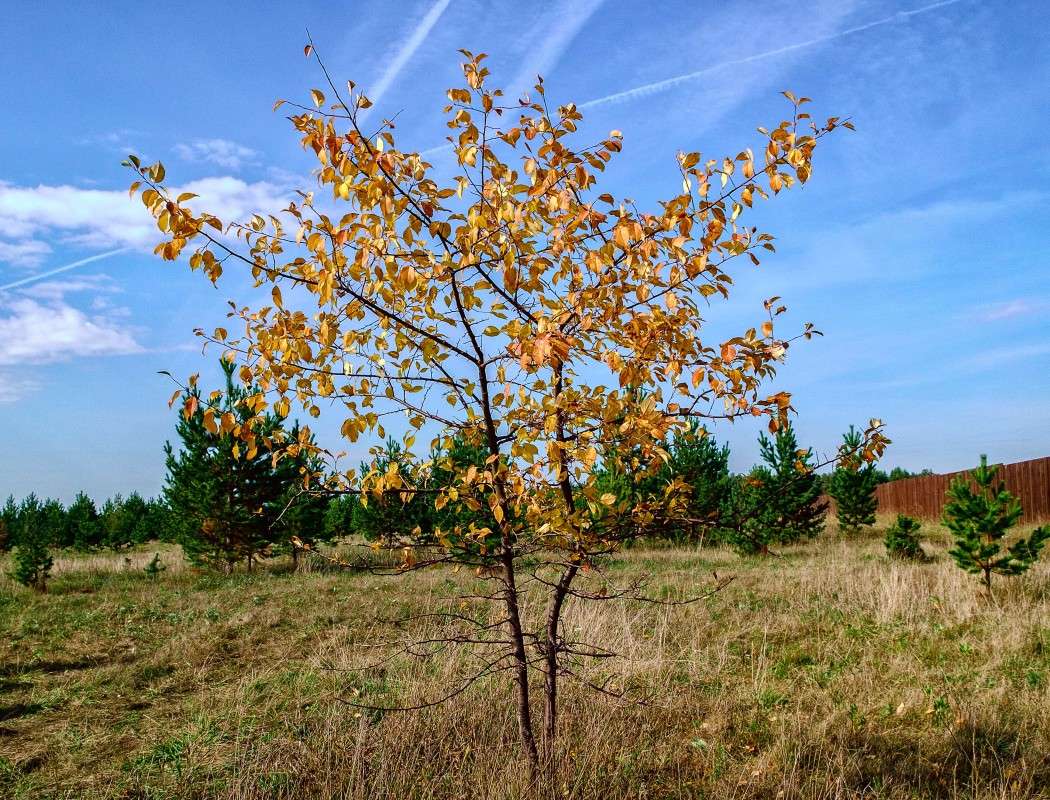 ������� ���� ����� ������  �� PhotoGeek.ru #������ ��� ������� #���������