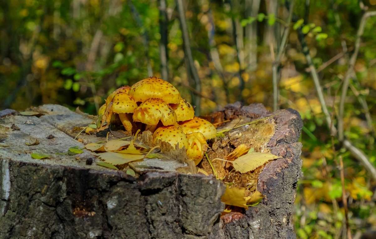 ������ �����... ����� ������  �� PhotoGeek.ru #������ ��� ������� #����� �������������� #���������