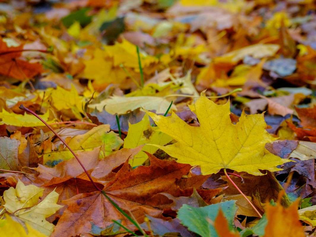 ������� ���������... ����� ������  �� PhotoGeek.ru #������ ��� ������� #���������