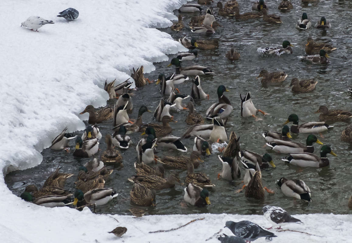 ........ ����� ������  �� PhotoGeek.ru #�������� ��� #����� ��� ��� ���������