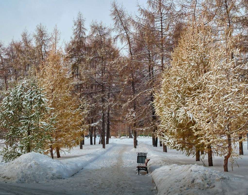 ˸���� ������ ����� ������  �� PhotoGeek.ru #����� #��������� ������