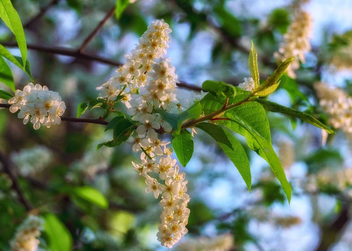 �����! ����� ������  �� PhotoGeek.ru #������ ��� ������� #���������