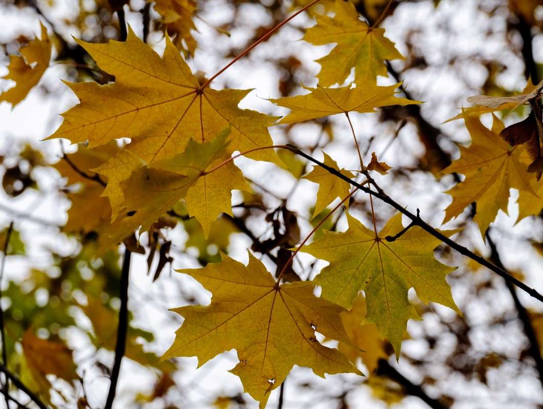 ������ ����� ����� ������  �� PhotoGeek.ru #������ ��� ������� #���������