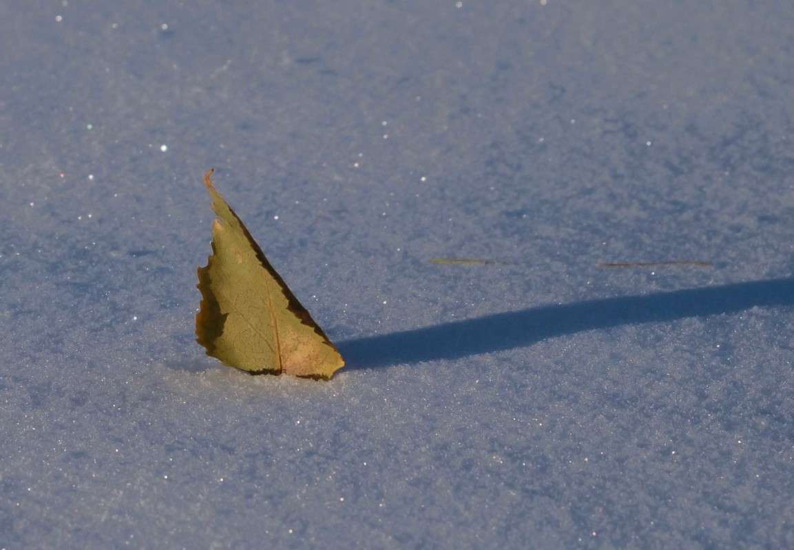 ������ ����... ����� ������  �� PhotoGeek.ru #������ ��� ������� #����� ��������������