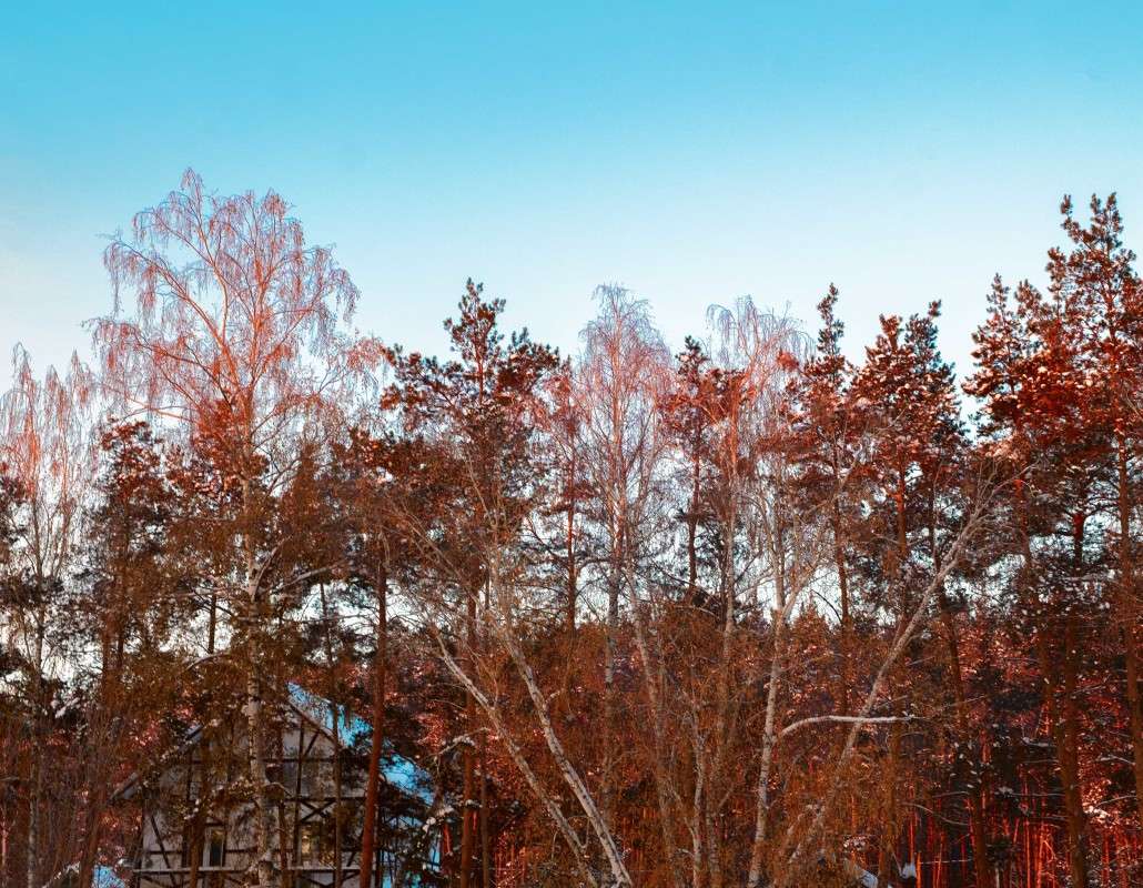 ���� ������ ���... ����� ������  �� PhotoGeek.ru #������ ��� ������� #���������