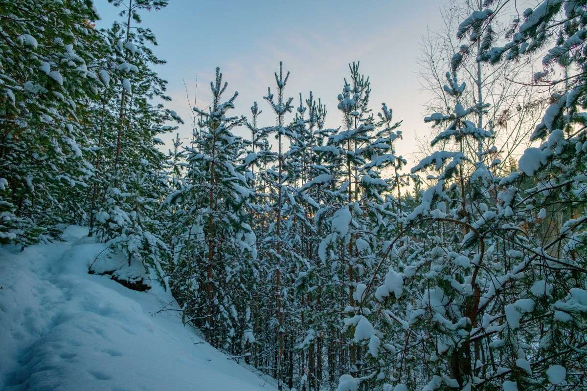 �� �������� �� ����� ��� ���������.. ����� ������  �� PhotoGeek.ru #������ ��� ������� #����� �������������� #���������