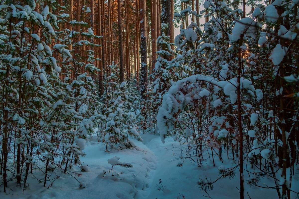 ������� ������... ����� ������  �� PhotoGeek.ru #������ ��� ������� #����� ��������������