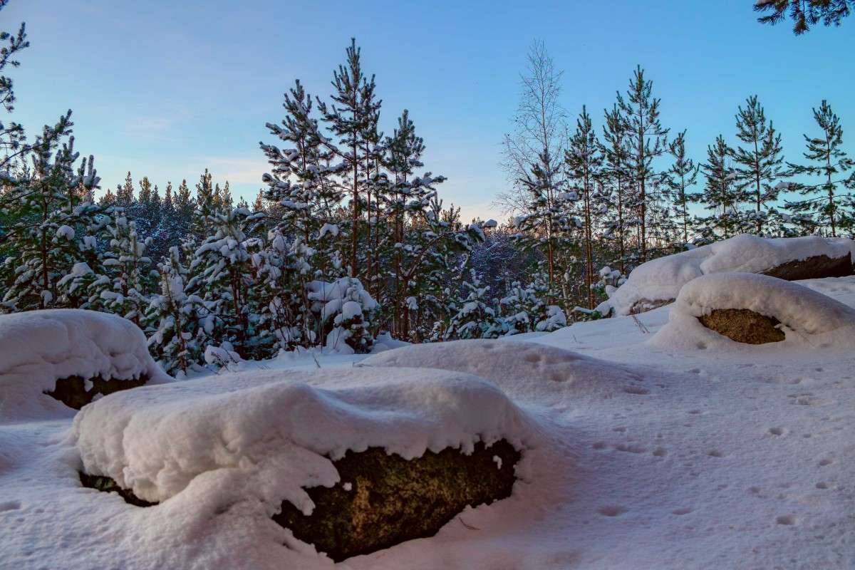 ��������� ������ ����� ������  �� PhotoGeek.ru #������ ��� ������� #���������