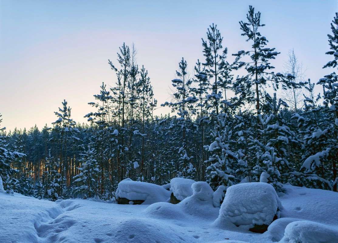 ������� ������-2 ����� ������  �� PhotoGeek.ru #������ ��� ������� #���������