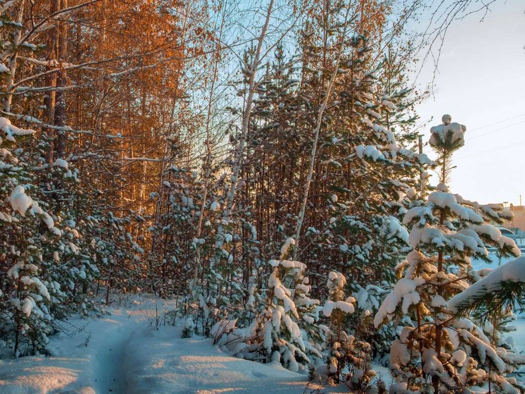 �������� � ���� ������ ����� ������  �� PhotoGeek.ru #������ ��� ������� #���������